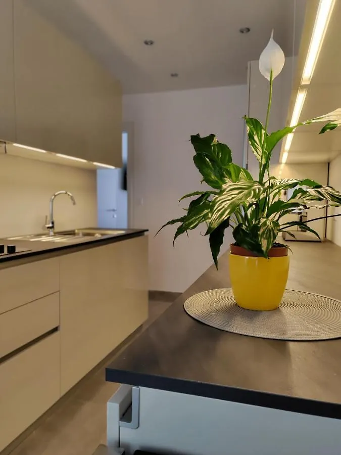 Apartment Petar Split